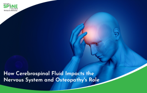 Cerebrospinal Fluid