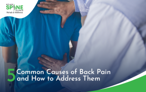 Causes of back pain