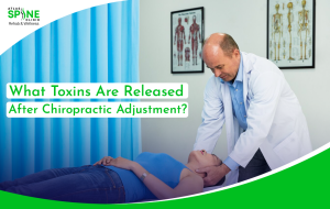 what toxins are released after chiropractic adjustment