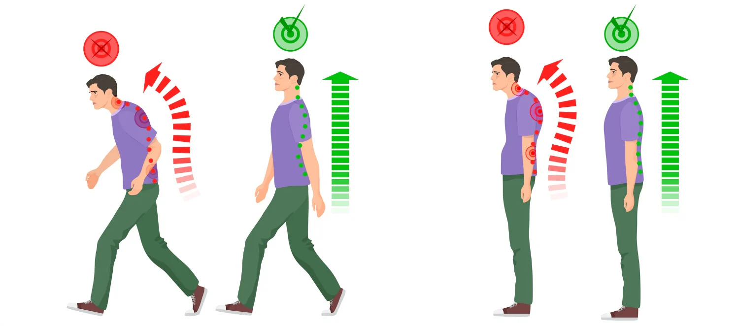 Maintain Good Posture Daily