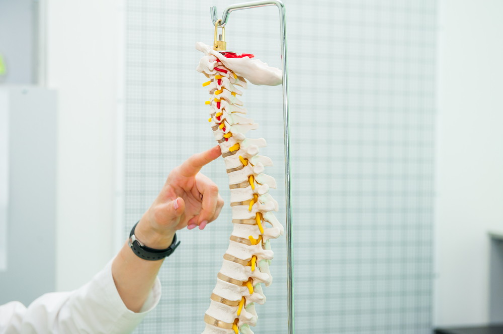 osteopathy therapy