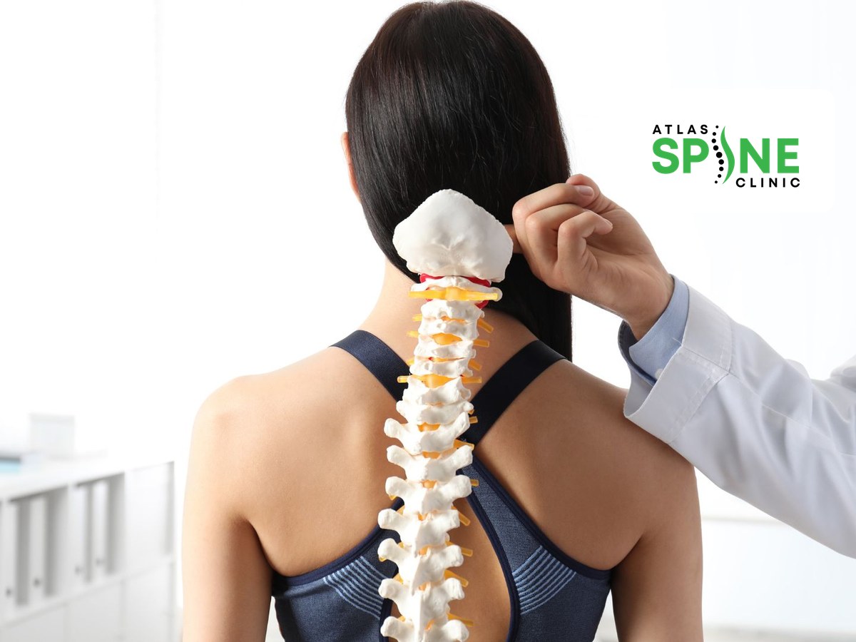 Chiropractor at Atlas Spine Clinic in Scarborough using a spine model to explain a treatment plan to a patient
