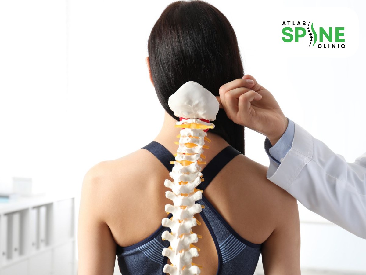 Chiropractor using a spine model to explain a diagnosis at Atlas Spine Clinic in Scarborough