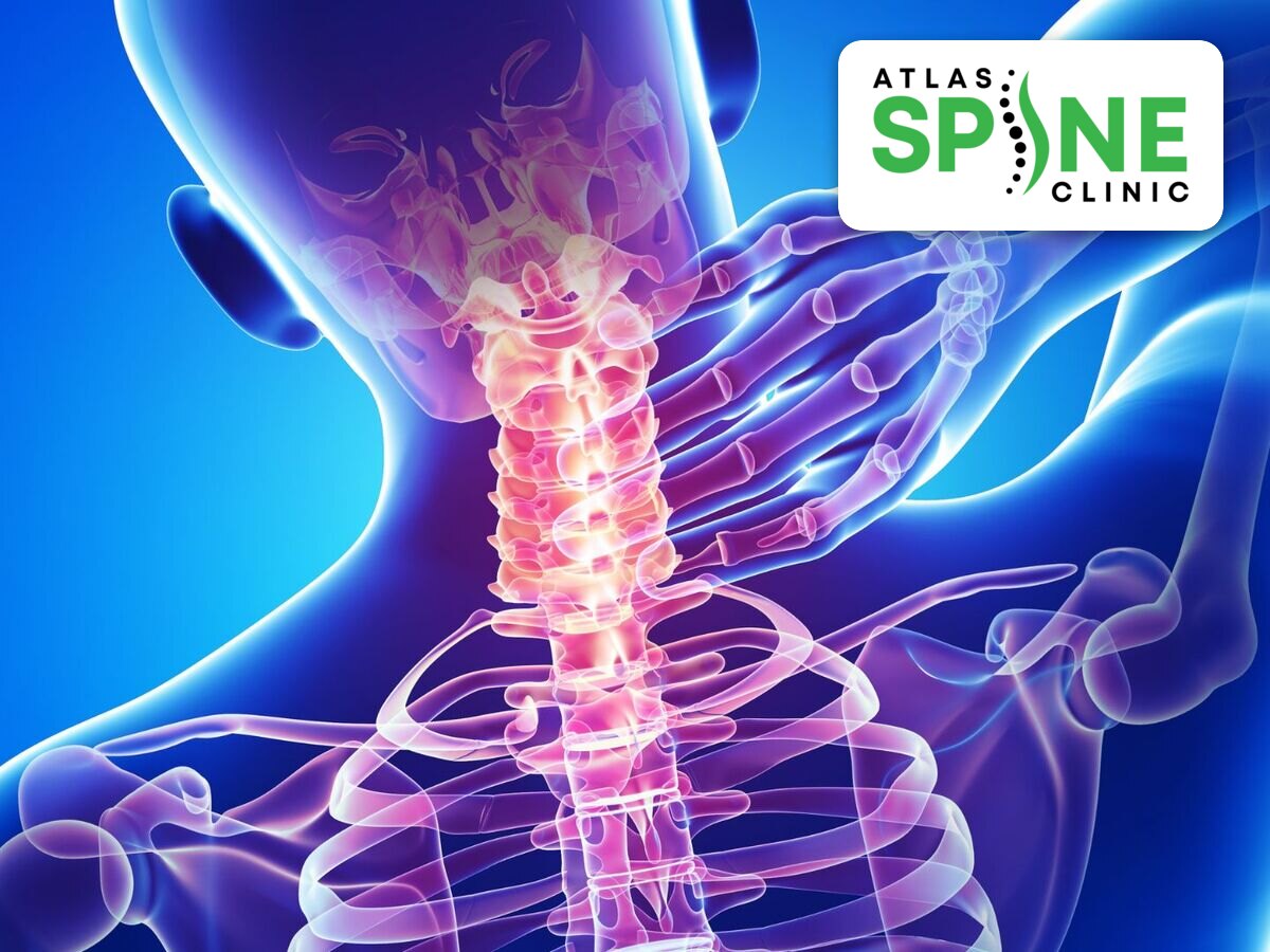 Cervical spine anatomy showing the neck joints treated at Atlas Spine Clinic Scarborough